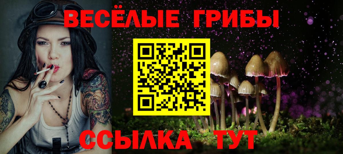 Галлюциногенные грибы GOLDEN TEACHER  купить наркотики сайты  Домодедово  Вход с VPN  Псилоцибиновые грибы мухоморы 